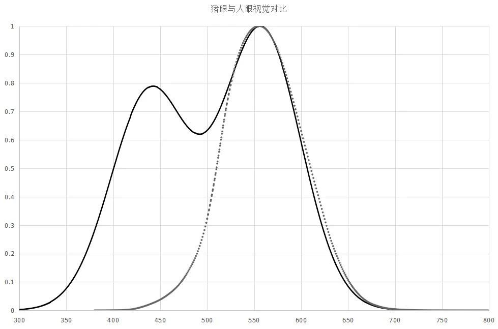 豬眼與人眼視覺對比.jpg